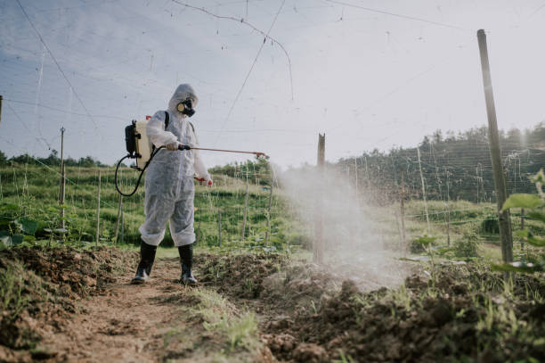 Best Pest Control Treatment  in Watsontown, PA