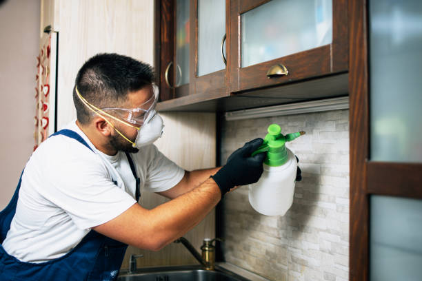 Best Local Pest Control Services  in Watsontown, PA
