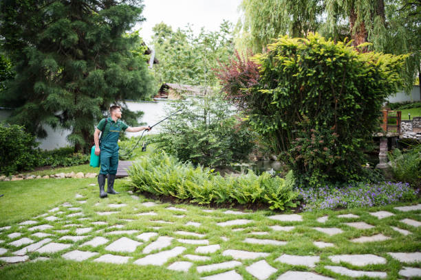 Best Insect Control  in Watsontown, PA