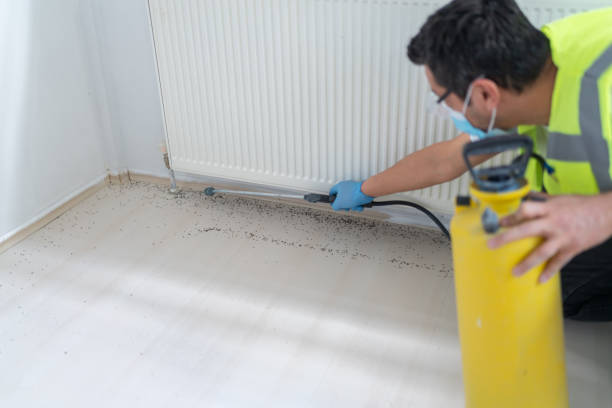 Best Local Pest Control Services  in Watsontown, PA